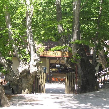 Albergo Ristorante Montecucco Da Tobia Sigillo エクステリア 写真