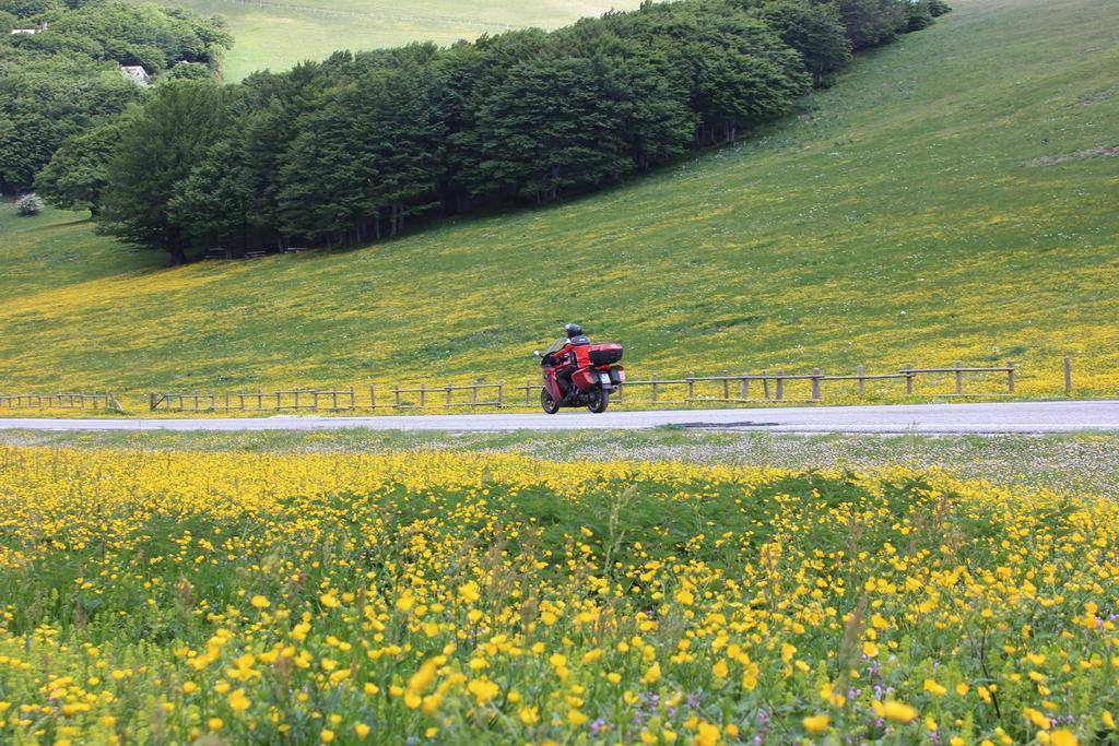Albergo Ristorante Montecucco Da Tobia Sigillo エクステリア 写真