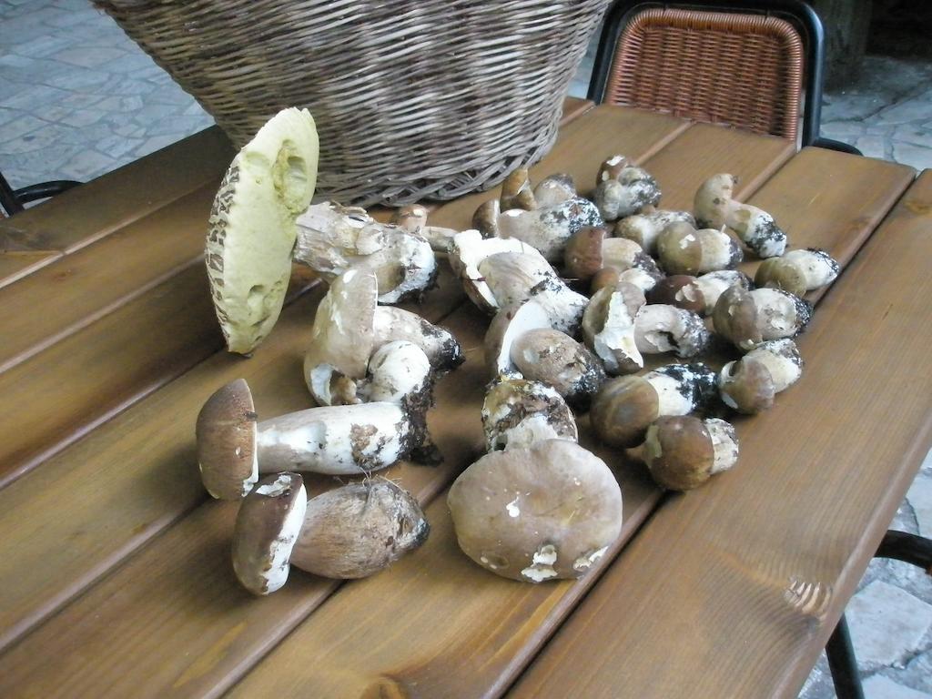 Albergo Ristorante Montecucco Da Tobia Sigillo エクステリア 写真