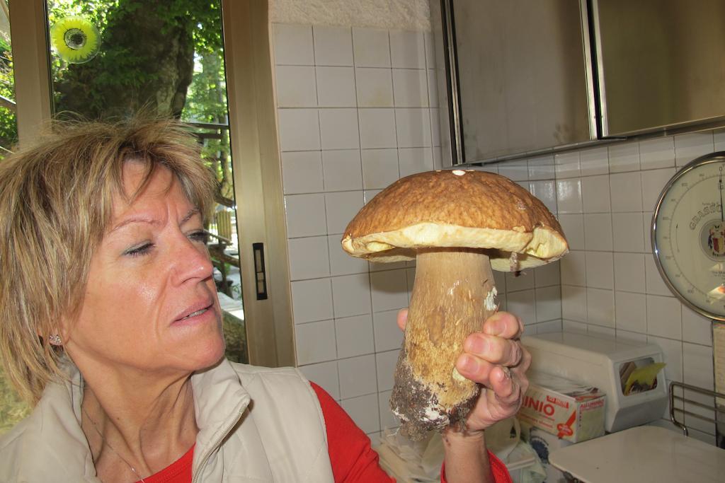 Albergo Ristorante Montecucco Da Tobia Sigillo エクステリア 写真