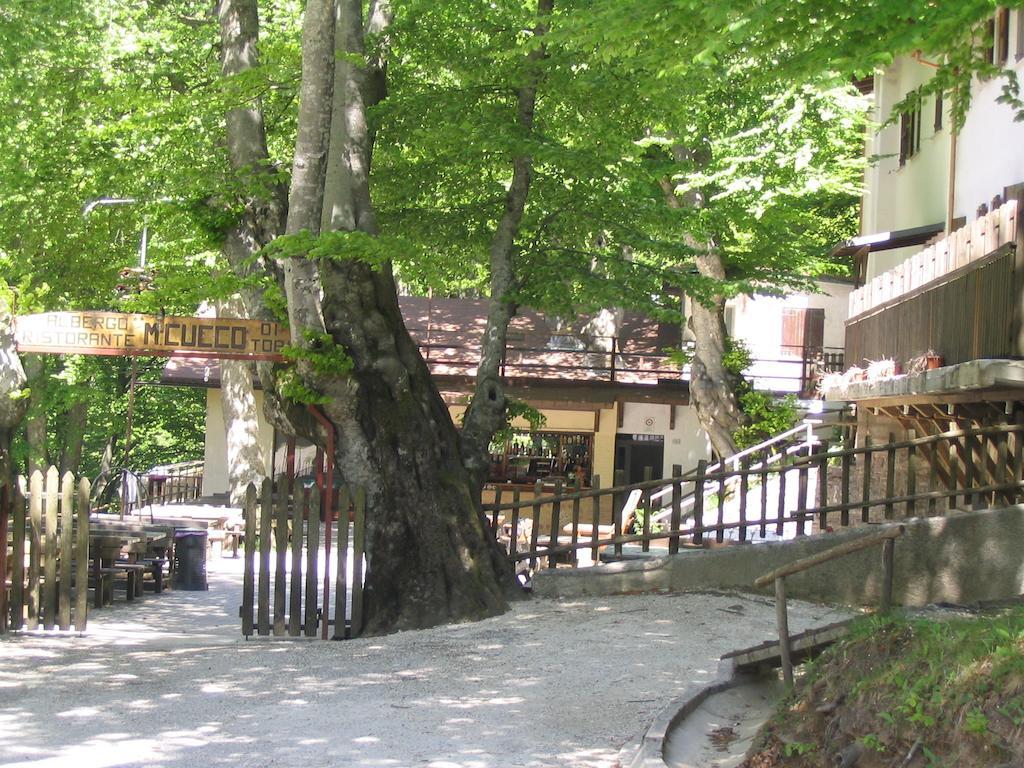 Albergo Ristorante Montecucco Da Tobia Sigillo エクステリア 写真